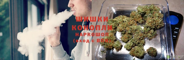 СК Осинники