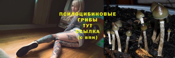 дживик Осташков