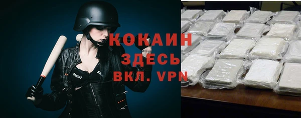СК Осинники