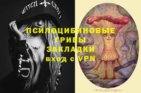 дживик Осташков