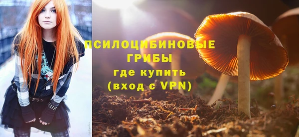 дживик Осташков